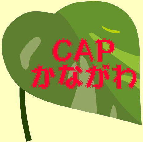 leafcap01